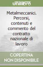 Metalmeccanici. Percorsi, contenuti e commento del contratto nazionale di lavoro libro