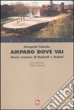 Amparo dove vai. Storie romane di badanti e badati libro