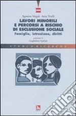 Lavori minorili e percorsi a rischio di esclusione sociale. Famiglie, istruzione, diritti libro