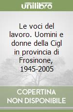 Le voci del lavoro. Uomini e donne della Cigl in provincia di Frosinone, 1945-2005 libro