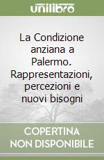 La Condizione anziana a Palermo. Rappresentazioni, percezioni e nuovi bisogni libro