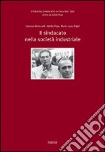 Storia del sindacato in Italia nel '900. Vol. 4: Il sindacato nella società industriale