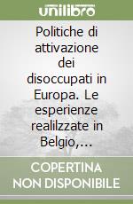 Politiche di attivazione dei disoccupati in Europa. Le esperienze realilzzate in Belgio, Danimarca, Francia, Germania, Inghilterra, Spagna e Svezia libro