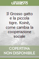 Il Grosso gatto e la piccola tigre. Koinè, come cambia la cooperazione sociale libro