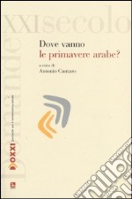 Dove vanno le primavere arabe? libro