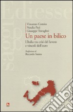 Un paese in bilico. L'Italia tra crisi del lavoro e vincoli dell'euro libro