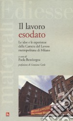 Il lavoro esodato libro