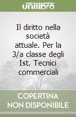 Il diritto nella società attuale. Per la 3/a classe degli Ist. Tecnici commerciali libro