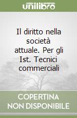 Il diritto nella società attuale. Per gli Ist. Tecnici commerciali libro