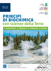 Principi di chimica sostenibile. Per il 5° anno delle Scuole superiori. Con e-book. Con espansione online libro