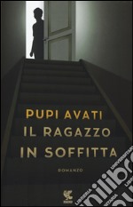 Il ragazzo in soffitta libro