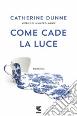 Come cade la luce libro