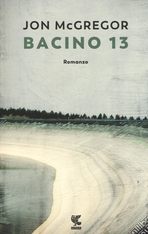 Bacino 13