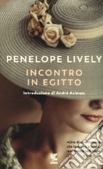 Incontro in Egitto libro