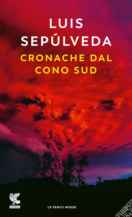 Cronache dal Cono sud