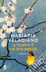 Il tempo è un dio breve libro