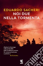 Noi due nella tormenta libro