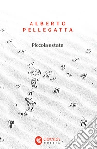 Piccola estate libro