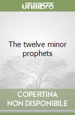 The twelve minor prophets libro