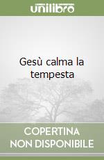 Gesù calma la tempesta libro