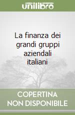 La finanza dei grandi gruppi aziendali italiani