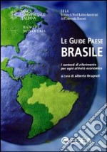 Brasile. I contesti di riferimento per ogni attività economica libro