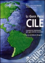 Cile. I contesti di riferimento per ogni attività economica libro