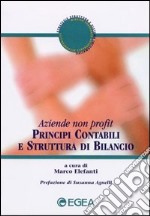 Principi contabili e struttura di bilancio libro