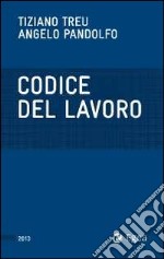 Codice del lavoro libro