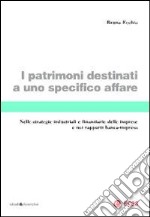 I patrimoni destinati a uno specifico affare. Nelle strategie industriali e finanziarie delle imprese e nei rapporti banca-impresa libro