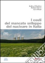 I costi del mancato sviluppo del nucleare in Italia libro