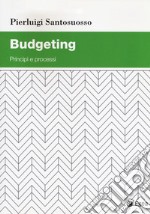 Budgeting. Principi e processi libro