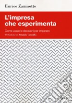 L'impresa che esperimenta. Come usare le decisioni per imparare