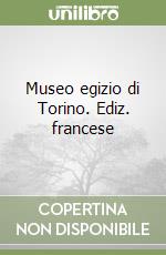 Museo egizio di Torino. Ediz. francese libro