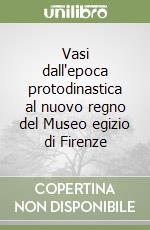 Vasi dall'epoca protodinastica al nuovo regno del Museo egizio di Firenze libro