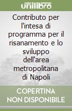 Contributo per l'intesa di programma per il risanamento e lo sviluppo dell'area metropolitana di Napoli libro