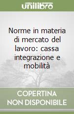 Norme in materia di mercato del lavoro: cassa integrazione e mobilità libro