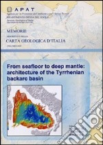 From seafloor to deep mantle. Architecture of the Tyrrhenian backarc basin