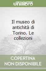 Il museo di antichità di Torino. Le collezioni libro