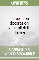 Pitture con decorazioni vegetali dalle Terme