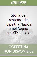 Storia del restauro dei dipinti a Napoli e nel Regno nel XIX secolo libro