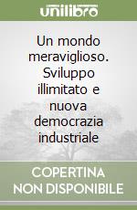 Un mondo meraviglioso. Sviluppo illimitato e nuova democrazia industriale libro