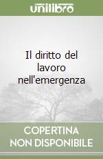 Il diritto del lavoro nell'emergenza libro