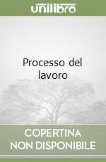 Processo del lavoro libro