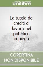 La tutela dei crediti di lavoro nel pubblico impiego libro