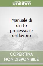 Manuale di diritto processuale del lavoro libro