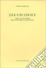 Gli usi civici. Aspetti e problemi delle proprietà collettive