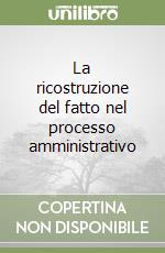 La ricostruzione del fatto nel processo amministrativo libro