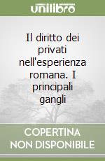 Il diritto dei privati nell'esperienza romana. I principali gangli libro