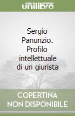 Sergio Panunzio. Profilo intellettuale di un giurista